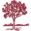 The Killbuck Savings Bank Company logo