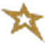 Southstar Bank, S.S.B. logo