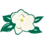 Magnolia State Bank logo