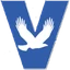 Vision Bank logo