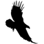 Eagle Bank logo