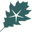 OakStar Bank logo