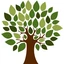 The First National Bank in Tremont logo