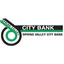 Spring Valley City Bank logo