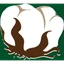 The Cottonport Bank logo