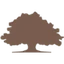 Texas Traditions Bank logo