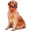 Montgomery Bank logo