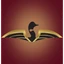 Vergas State Bank logo
