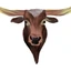 Stockmens National Bank in Cotulla logo