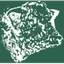 The First National Bank of Hope logo