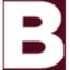 Banksouth logo