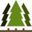 Grand Timber Bank logo