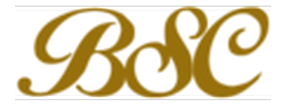 The Bank of South Carolina logo