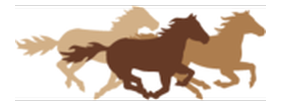 The First National Bank of Sonora logo