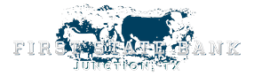 First State Bank logo
