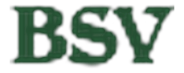 The Bank of Southside Virginia logo