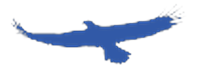 Eagle Valley Bank logo