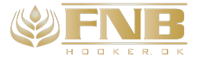 The First National Bank of Hooker logo